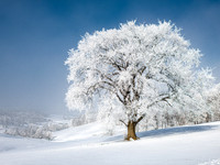 Galena Area Photos