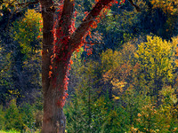 Galena Area Photos